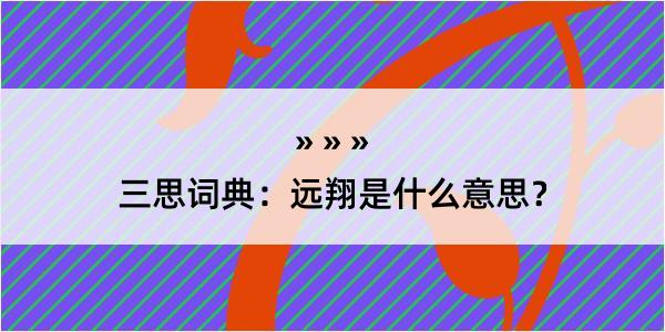 三思词典：远翔是什么意思？