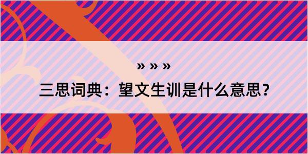 三思词典：望文生训是什么意思？