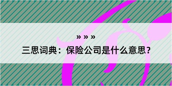 三思词典：保险公司是什么意思？