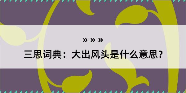 三思词典：大出风头是什么意思？