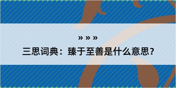 三思词典：臻于至善是什么意思？