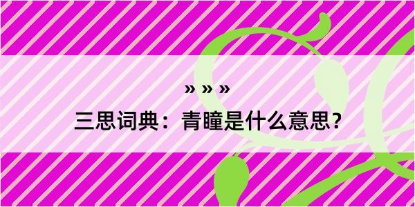 三思词典：青瞳是什么意思？