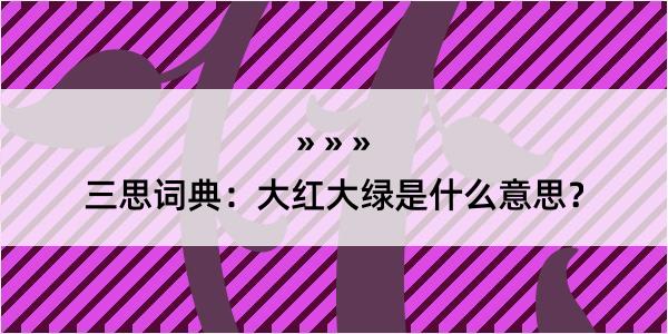 三思词典：大红大绿是什么意思？