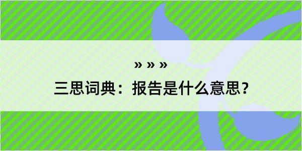 三思词典：报告是什么意思？