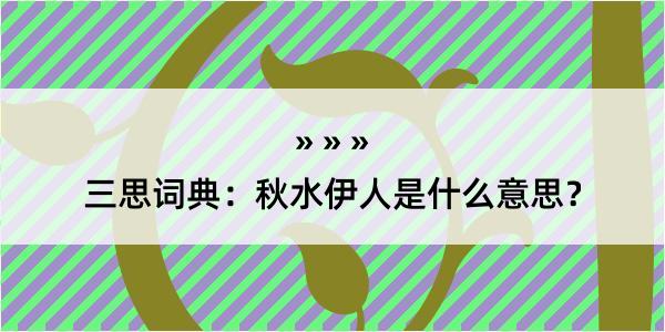 三思词典：秋水伊人是什么意思？