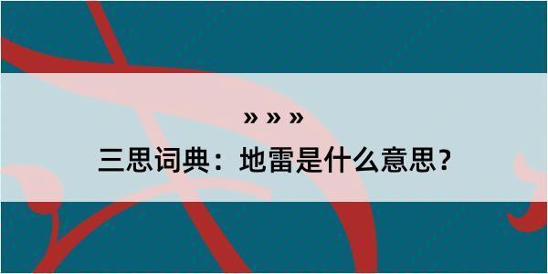 三思词典：地雷是什么意思？