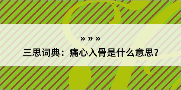 三思词典：痛心入骨是什么意思？