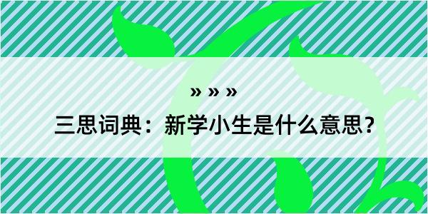 三思词典：新学小生是什么意思？