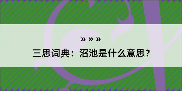 三思词典：沼池是什么意思？