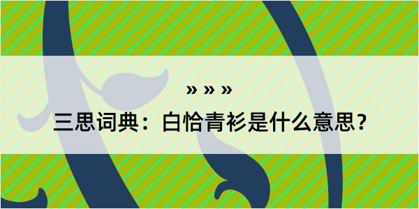 三思词典：白恰青衫是什么意思？