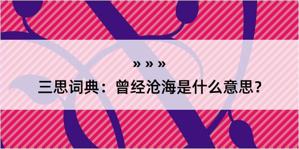 三思词典：曾经沧海是什么意思？