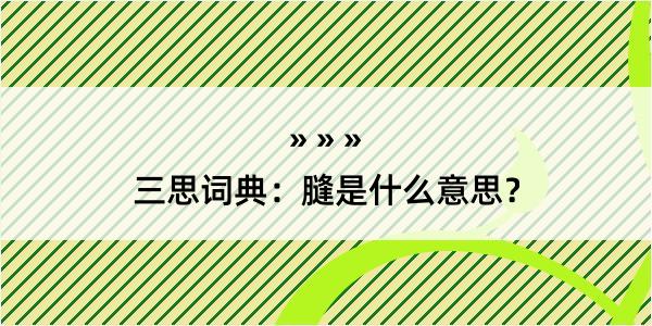 三思词典：膖是什么意思？