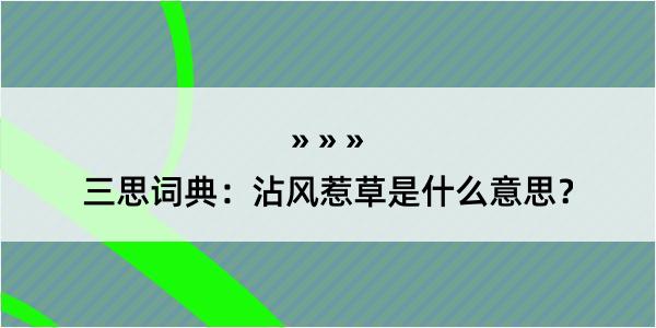 三思词典：沾风惹草是什么意思？