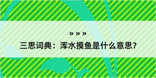 三思词典：浑水摸鱼是什么意思？