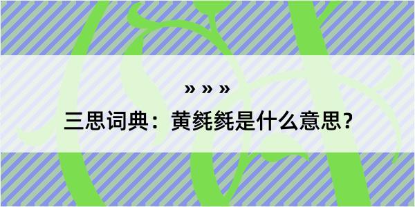 三思词典：黄毵毵是什么意思？