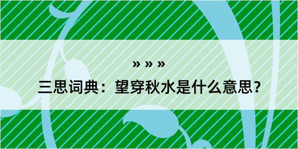 三思词典：望穿秋水是什么意思？