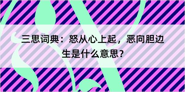 三思词典：怒从心上起，恶向胆边生是什么意思？