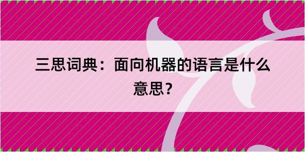 三思词典：面向机器的语言是什么意思？