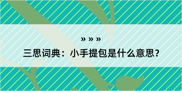 三思词典：小手提包是什么意思？