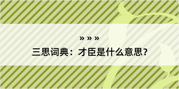 三思词典：才臣是什么意思？