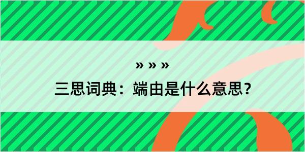 三思词典：端由是什么意思？