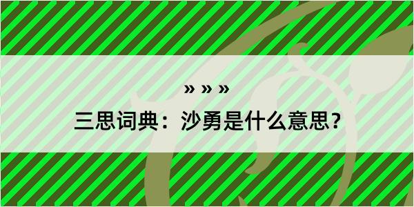 三思词典：沙勇是什么意思？