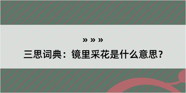 三思词典：镜里采花是什么意思？