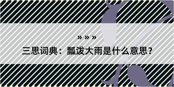 三思词典：瓢泼大雨是什么意思？