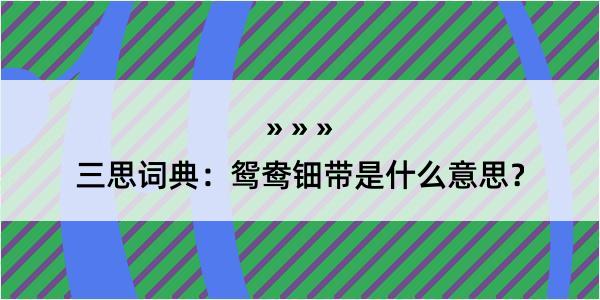 三思词典：鸳鸯钿带是什么意思？