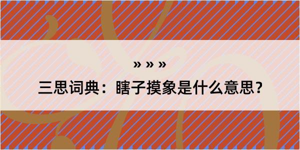 三思词典：瞎子摸象是什么意思？