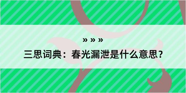 三思词典：春光漏泄是什么意思？