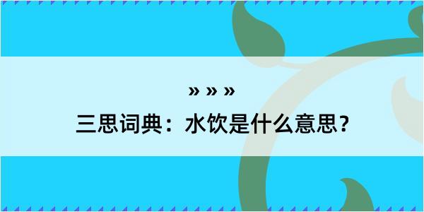 三思词典：水饮是什么意思？