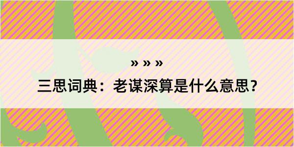 三思词典：老谋深算是什么意思？