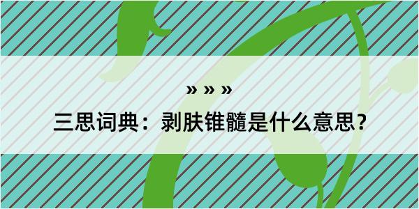 三思词典：剥肤锥髓是什么意思？