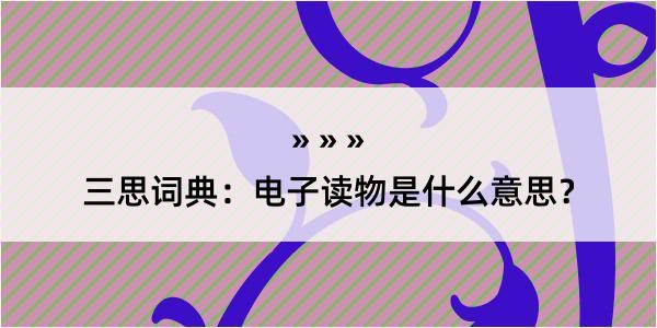 三思词典：电子读物是什么意思？