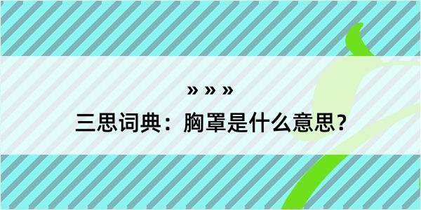 三思词典：胸罩是什么意思？