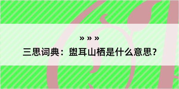 三思词典：盥耳山栖是什么意思？