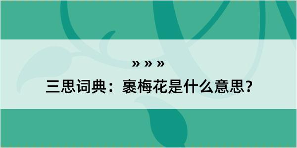 三思词典：裹梅花是什么意思？