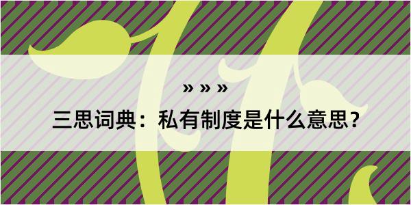 三思词典：私有制度是什么意思？