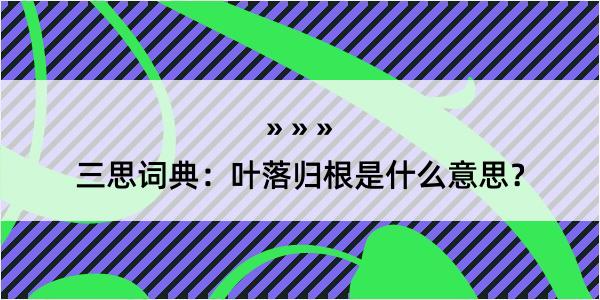 三思词典：叶落归根是什么意思？