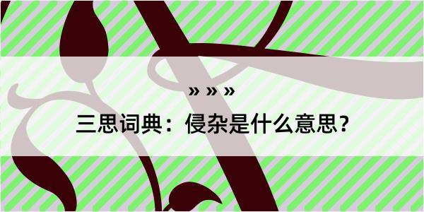 三思词典：侵杂是什么意思？