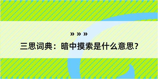 三思词典：暗中摸索是什么意思？