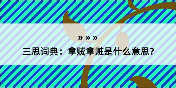 三思词典：拿贼拿赃是什么意思？