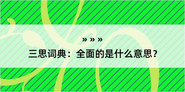 三思词典：全面的是什么意思？