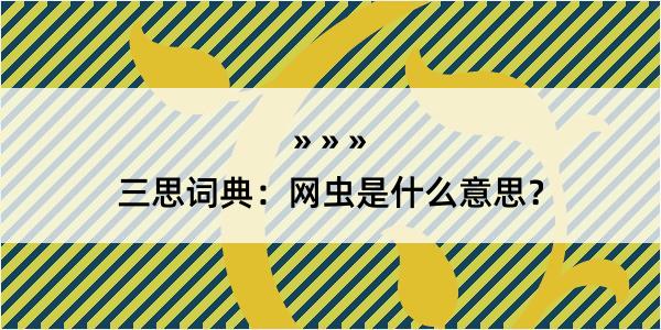 三思词典：网虫是什么意思？