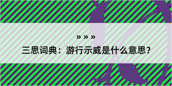 三思词典：游行示威是什么意思？