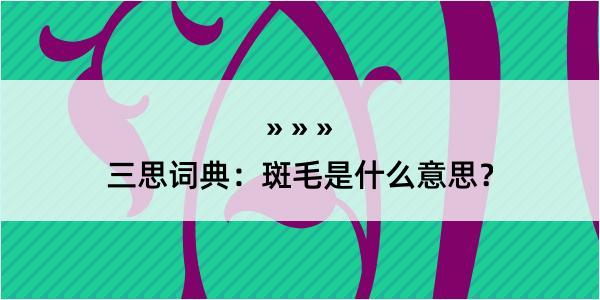 三思词典：斑毛是什么意思？