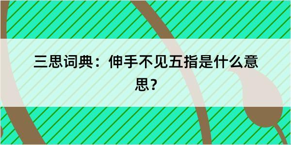 三思词典：伸手不见五指是什么意思？