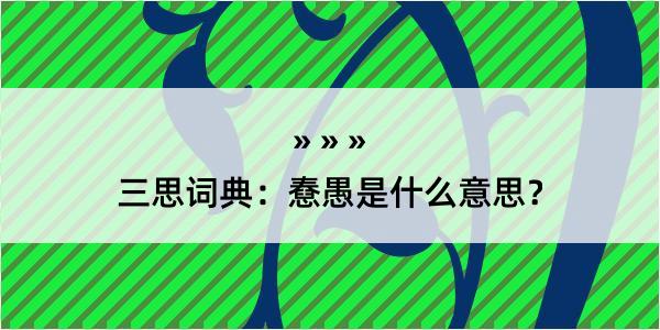 三思词典：憃愚是什么意思？