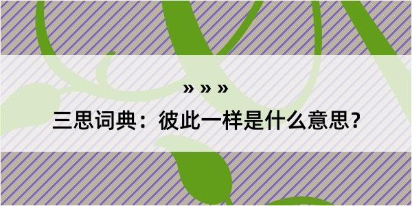 三思词典：彼此一样是什么意思？